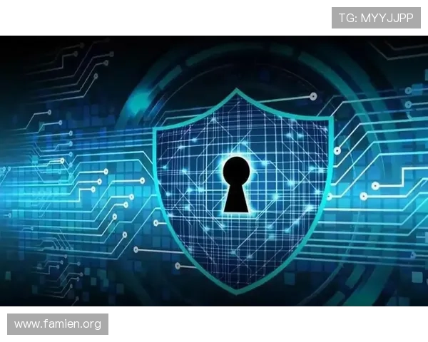 fg电子游戏官网的安全保障措施与隐私保护政策，保障玩家个人信息安全与资金安全