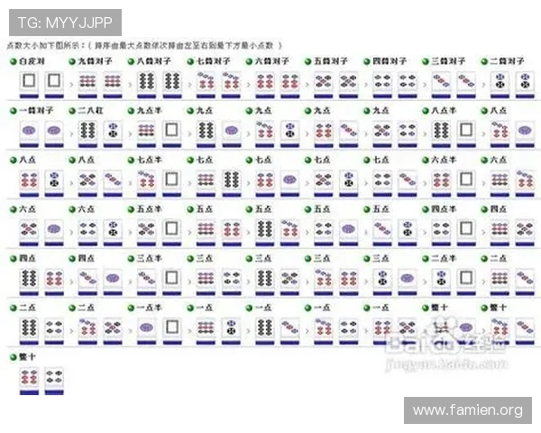 二八杠扑克规则介绍与常见玩法，助你快速理解游戏规则实现赢牌目标